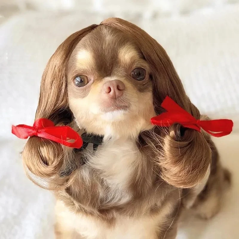 Pet Wigs Cosplay Funny Props Cat Dog Halloween Christmas Cross-Dressing Wig Role Playing Hair Costumes Prank Pet Supplies