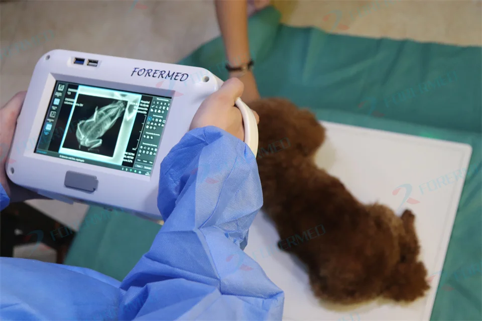 Mini Veterinary X Ray Machine Pet Clinic Portable Digital Xray Machine DR Touch Screen X-ray With FPD