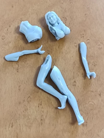 Buyer photo of this resin kit