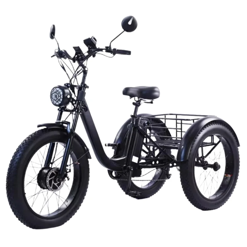 750W 48V Cargo Electric Bike Tricycle Adults Fat Tire 24 Inch Family Fatbike Electric Bicycle Mountain For Men Removable Battery