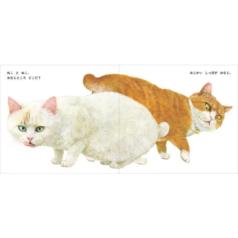 القط والقطة ناوكو ماتشيدا كوغوما ضريح 9784772102445 كتاب #3