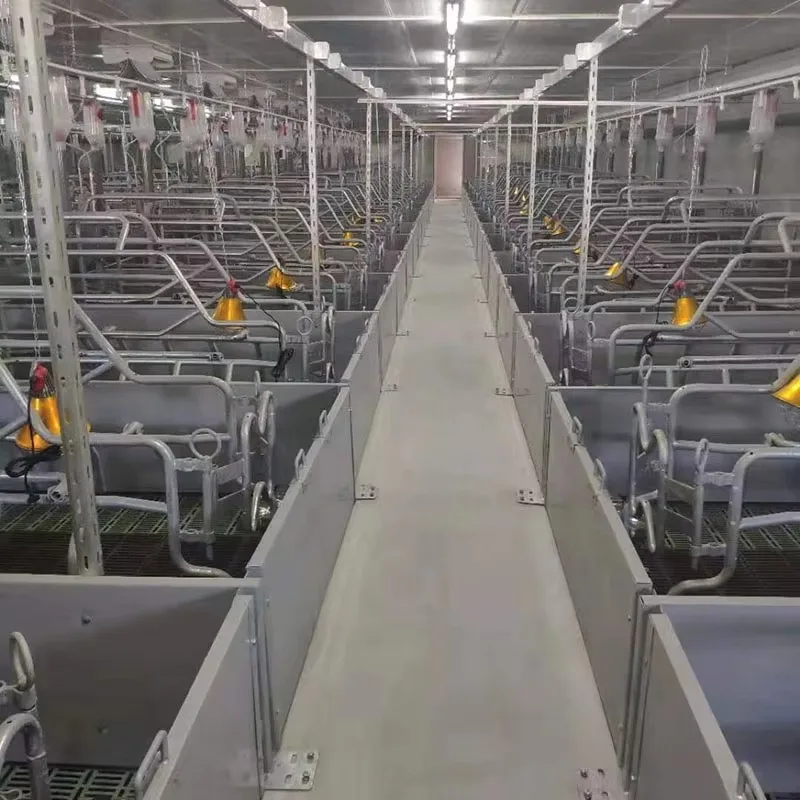 Pig Farm Equipment for Pig Project with Complete Automatic Pig Breeding Equipment