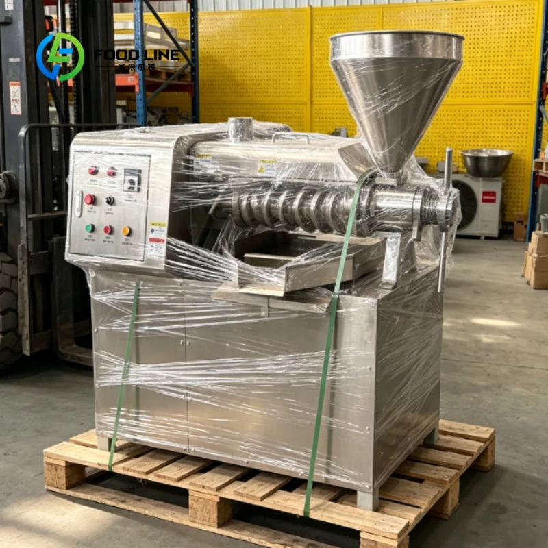 Customized Stainless Steel 6YL-80 Oil Press, 150-300kg/h Commercial Cold Press Extractor for Peanut & Soybean