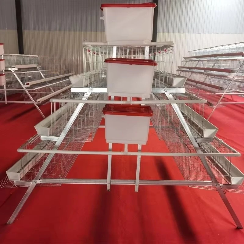 Stepped three-storey five-door trapezoidal egg cage high-yield egg hen cage chicken coop