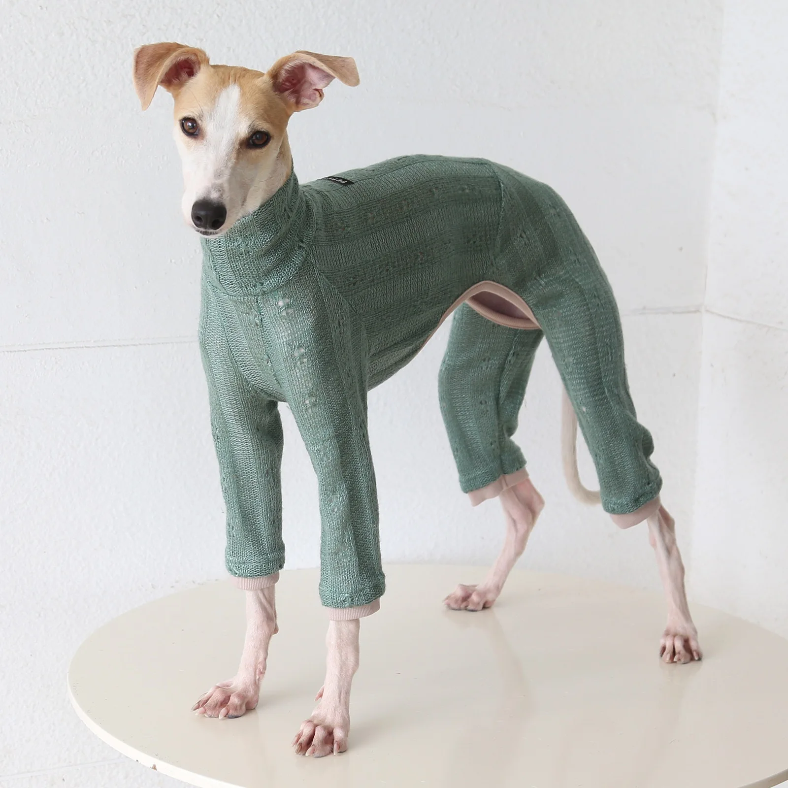 Hondenkleding Zachte gebreide trui met hoge hals en vier poten voor kleine windhonden, lente-herfst-sweatshirt voor kleine tot middelgrote whippet honden