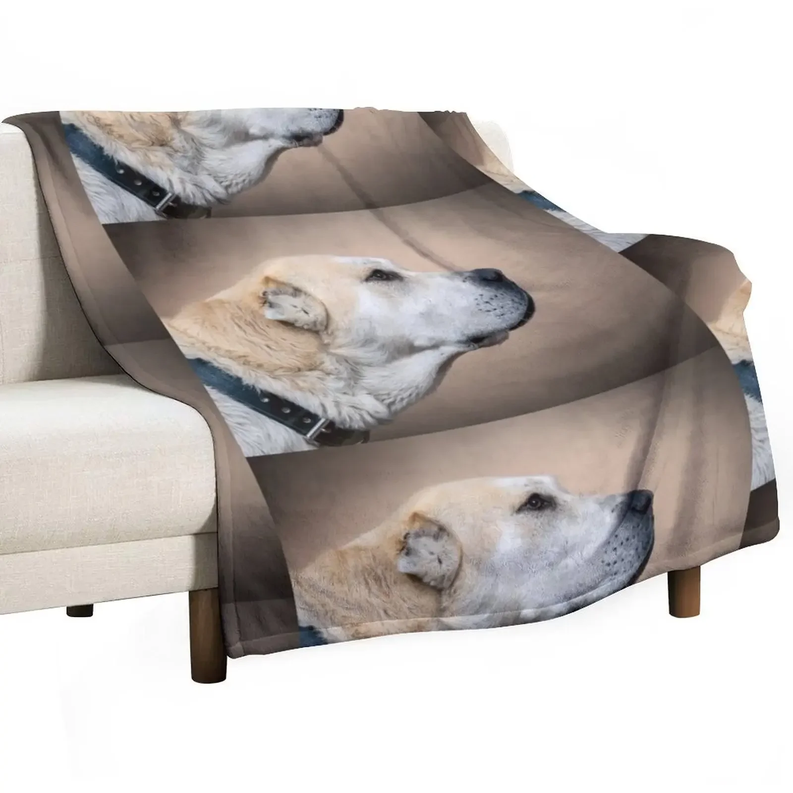 Central Asian shepherd. Alabai dog Throw Blanket decorative Luxury Designer Plaid on the sofa Blankets