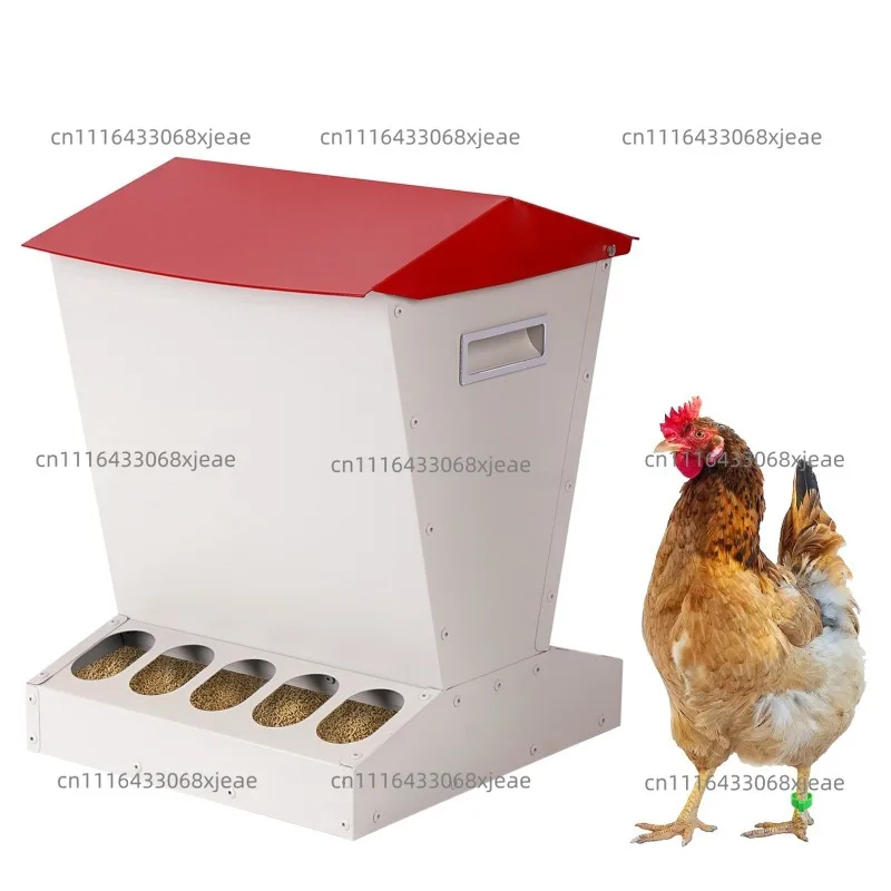 Chicken Feeding Trough Automatic Chicken Feed  Vertical Chicken   Anti-rat Poultry