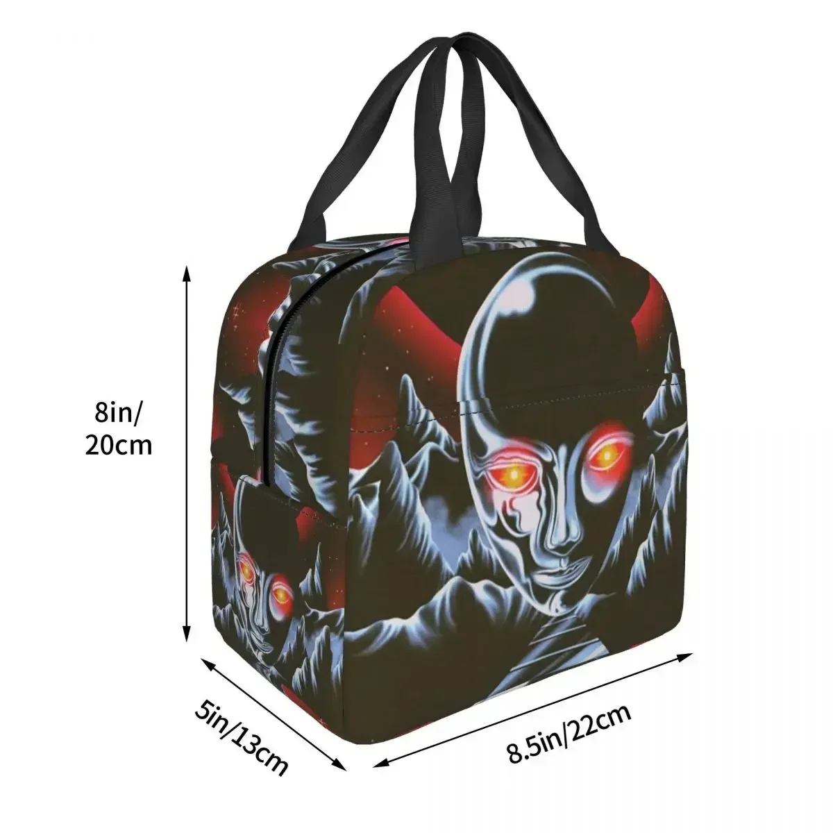 The Weeknd After Hours Till Dawn Tour (2) Insulated Lunch Bag for Women Children Portable Food Boxes Thermal Lunch Box Tote