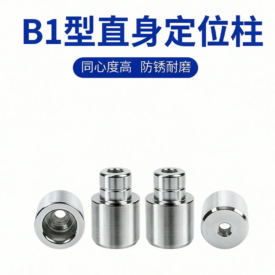 2PCSHigh Precision Mold Locating Pin B1-16 Zero Degree Straight Guide Pillar Guide Bushing Round Locator Mold Positioning Column
