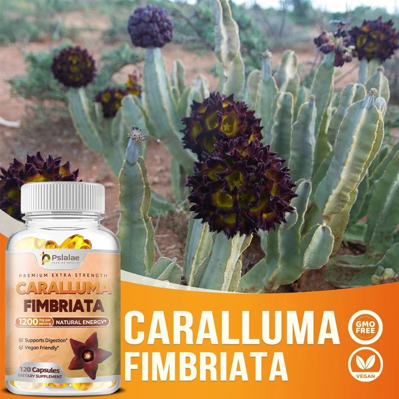 Cápsulas Caralluma Fimbriata - Melhora a resistência, melhora a concentração, aumenta o metabolismo, suporte imunológico