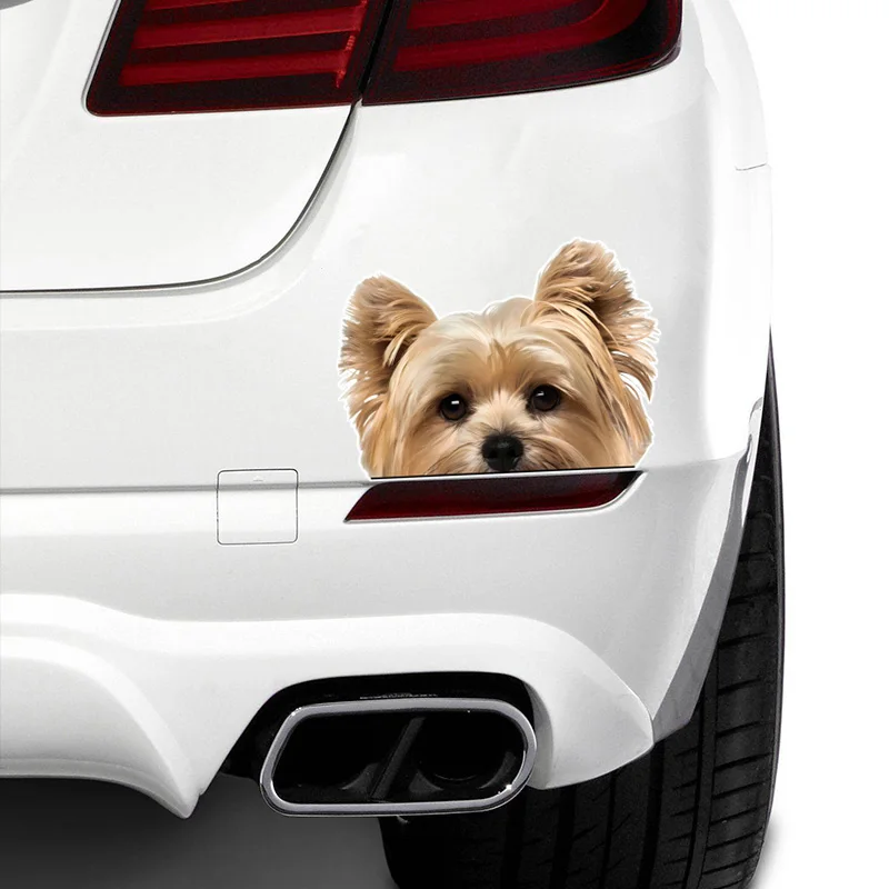 DK156#17x12cm Peeking Golden Yorkshire Terrier Car Sticker Waterproof Vinyl Decal For Truck Motorcycle Scooter Auto Accessories
