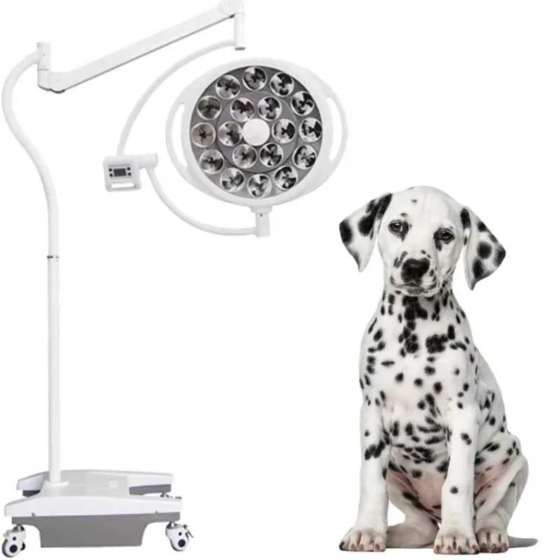 Veterinary Medical Operation Room Theatre Led Ot Shadowless Light Surgical Lamp