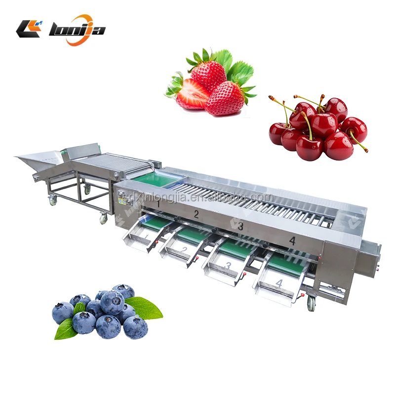 Commercial Rotary Date Palm Tomato Cherry Orange Onion Vegetable Fruits Sorting Grading Machine Lemon Size Sorter Grader Machine