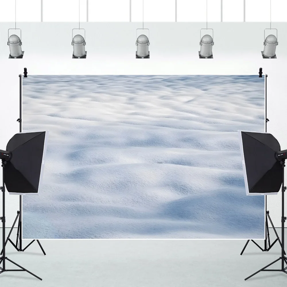 冬の雪原の背景,クリスマスパーティー,子供の家族の肖像画,室内装飾,写真の背景,写真スタジオ