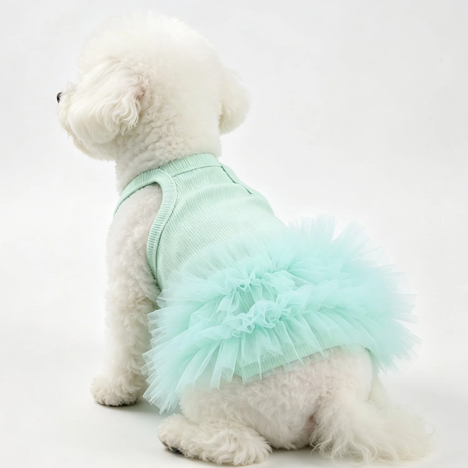 Robe Tutu rose et verte sans manches pour chat et chien, jupe pour petits chiens, Bichon Teddy, tenue mignonne pour fête d'anniversaire, 1 pièce