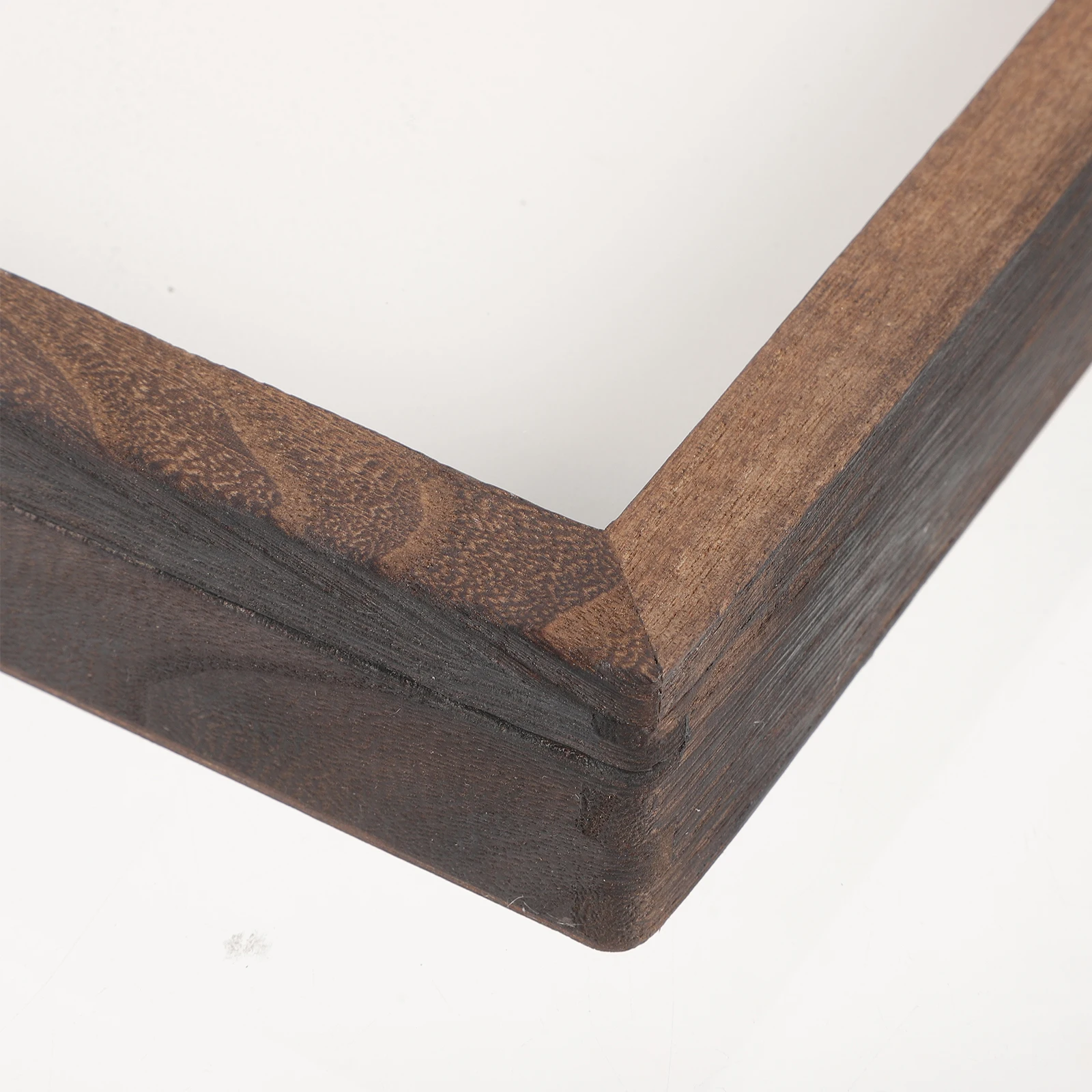 

Insect Display Box Butterfly Specimen Beetles Specimens Case Bug Boxes for Decor Collection Insects