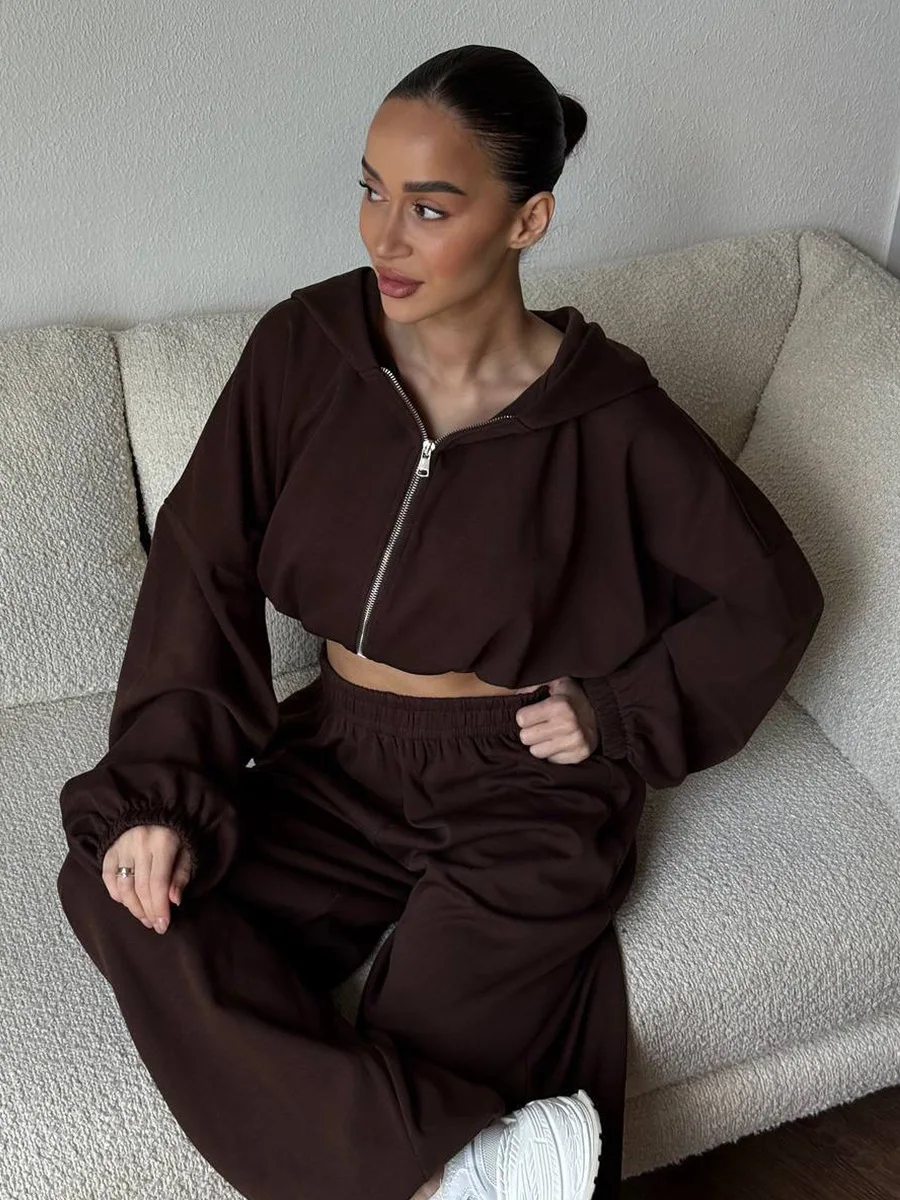 

Wolfeel женский новый осенний укороченный топ с капюшоном на молнии и шнурком, спортивные штаны с манжетами, комплект свободного покроя, уличная одежда, модные комплекты брюк