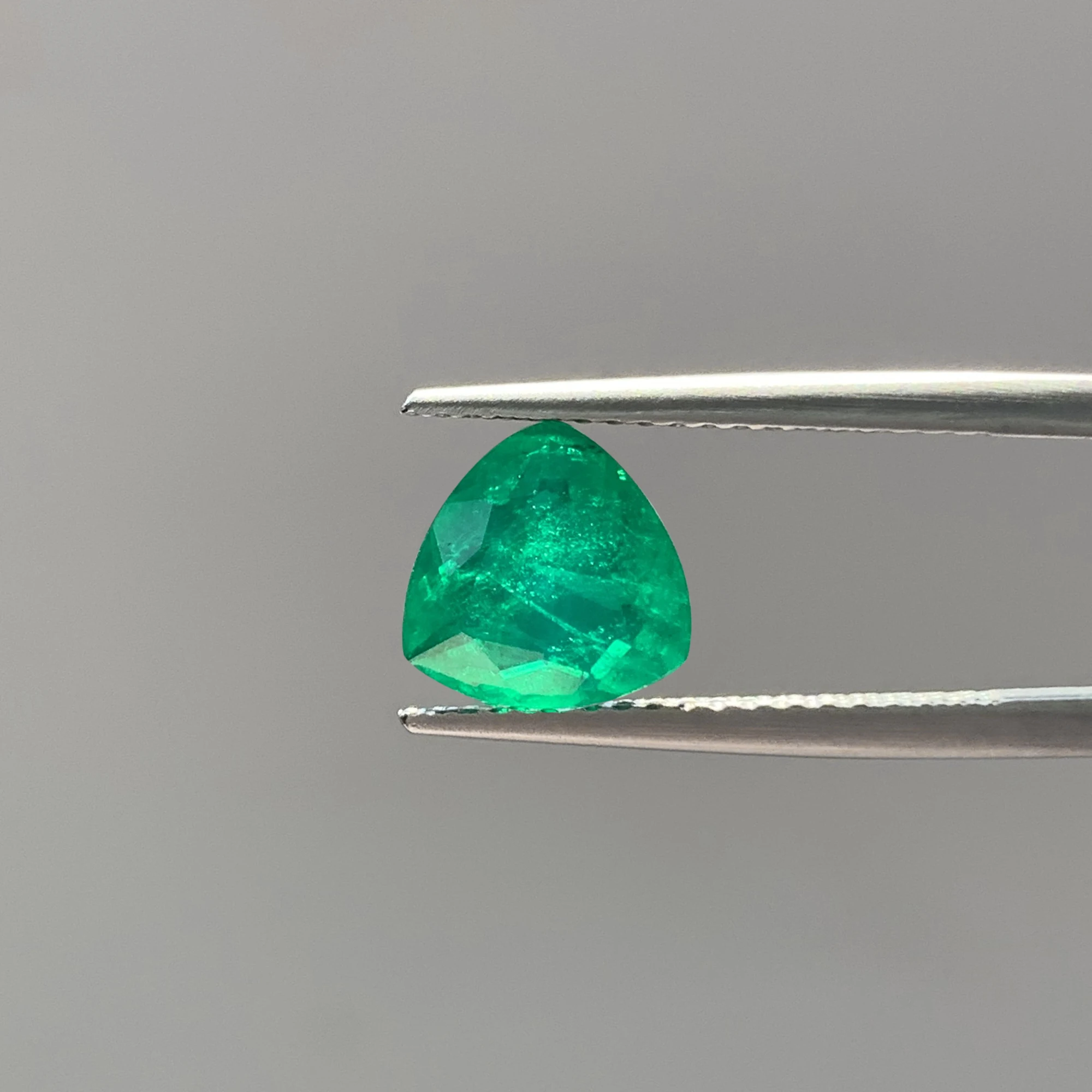 Hot Selling Fusion …