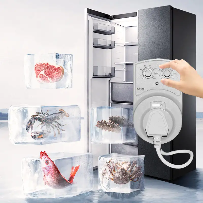 

1500W 220V New Electronic Multifunctional External Temperature Controller Timer Refrigerator Companion Delay Protector