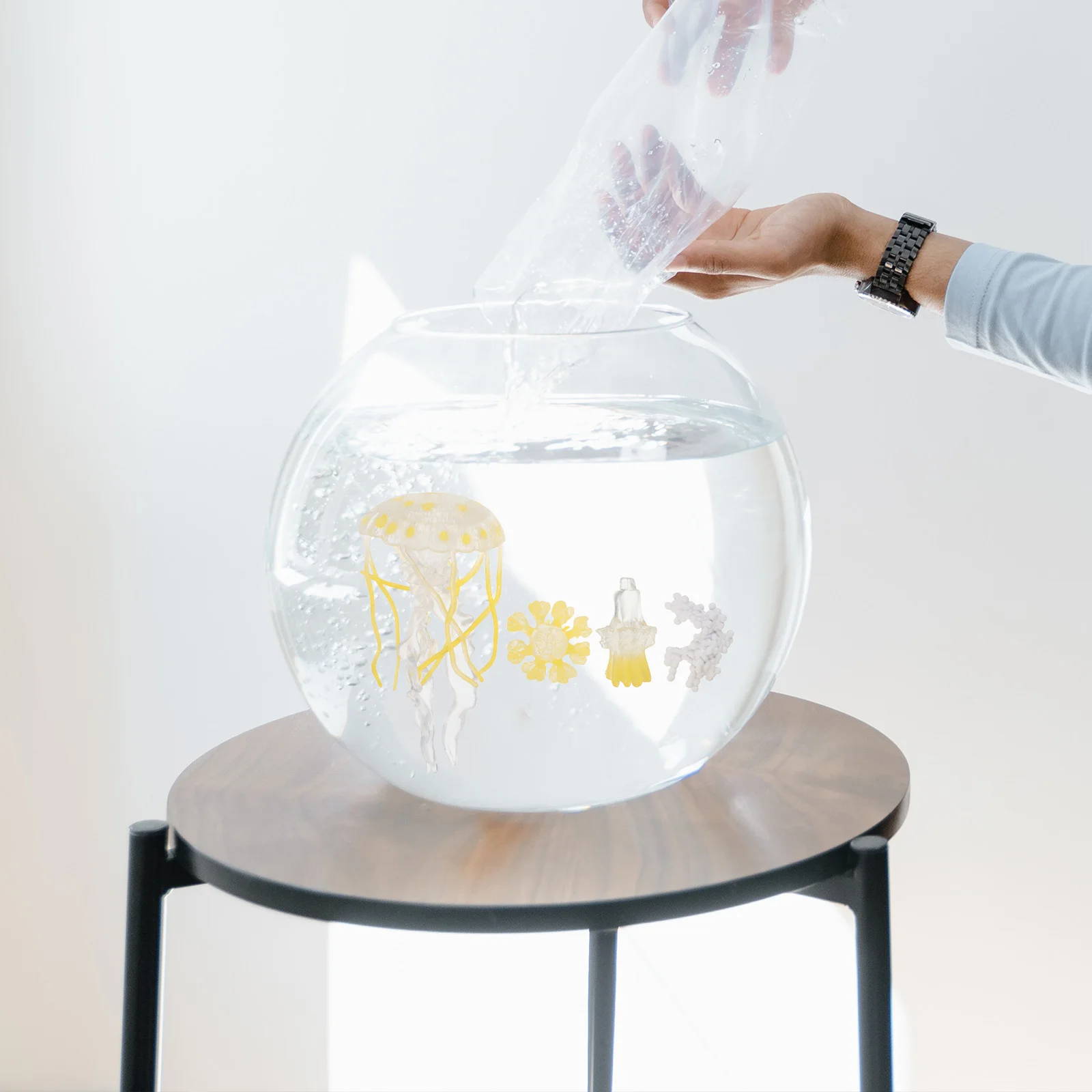 

1Set Simulated Marine Jellyfish Life Cycle Educational Science Kit for Preschool Kids Learning Cognitive Desktop Decoration