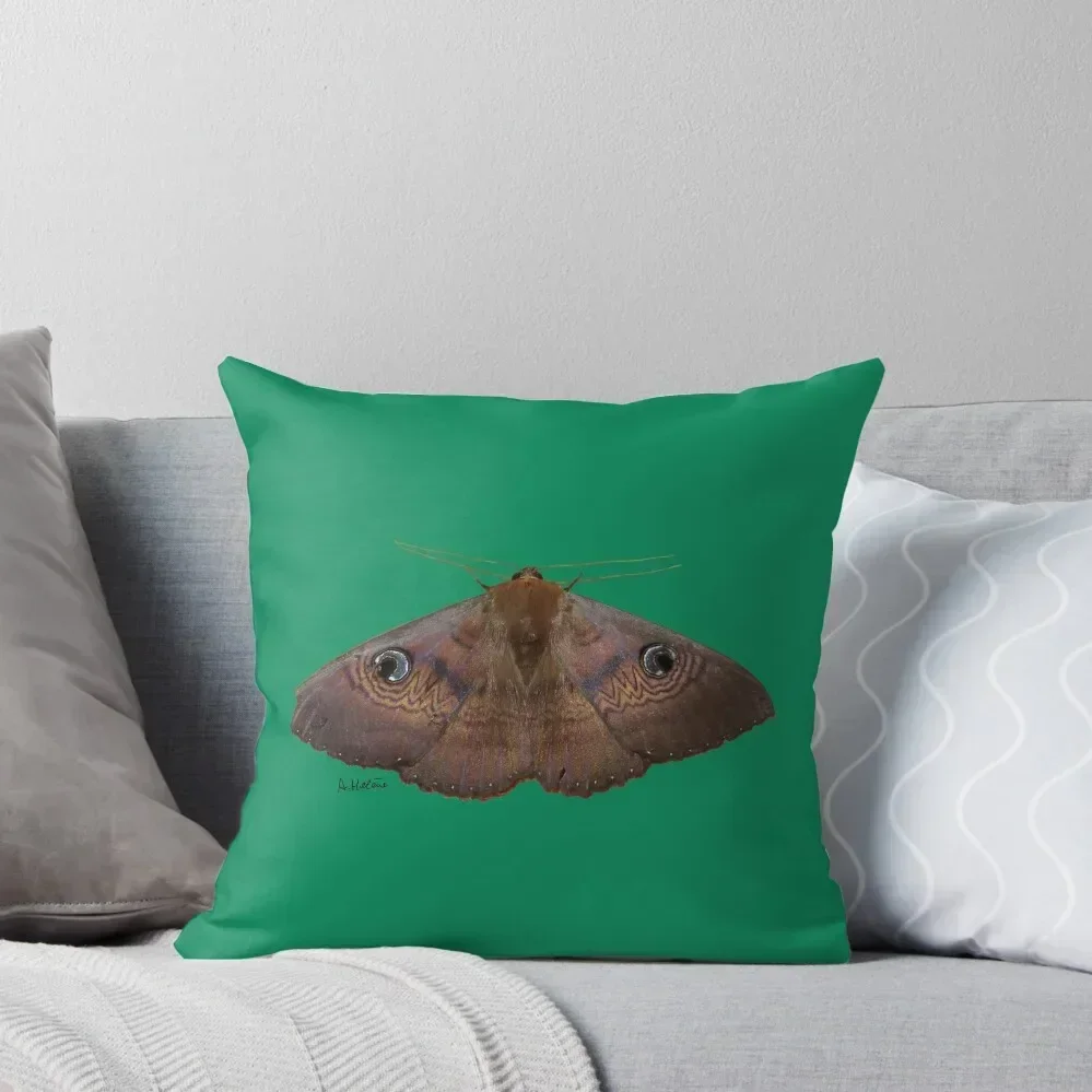 

southern old lady moth on ultra violet background Throw Pillow Pillowcases Cushion Covers Sofa Cushions For Sofa pillow