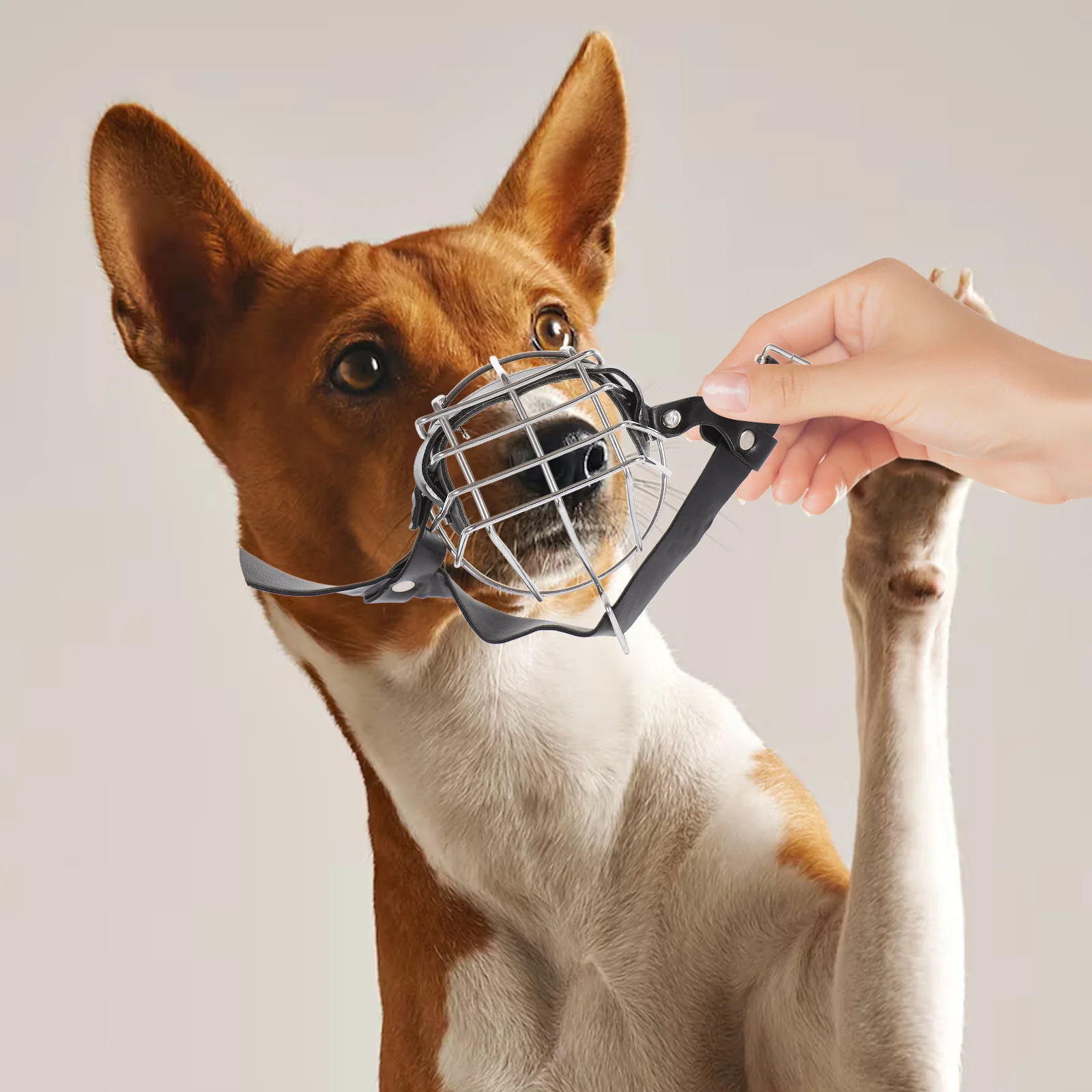 

Stainless Steel Dog Muzzle Adjustable Breathable Pet Mask Head Circumference 30.5cm Anti-Barking Anti-Bite Comfortable Dog Mouth