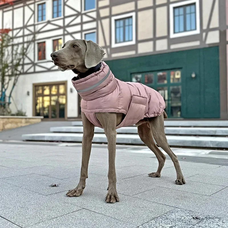 Winter High-necked Medium and Large Dog Cotton Coat Cold-proof and Warm Dog Overall Dubin Husbandry Large Dog Clothes