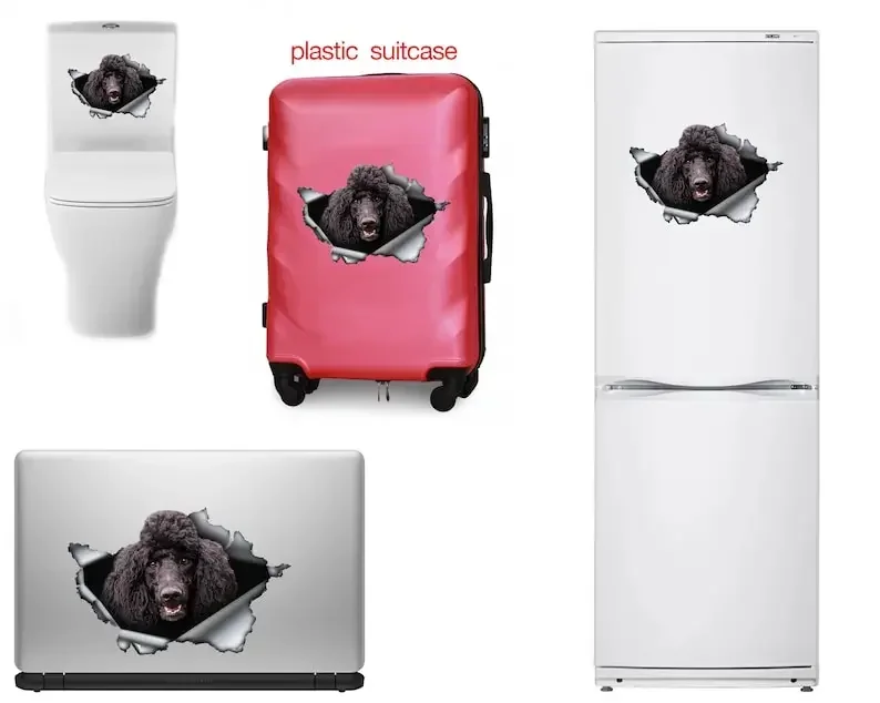Black Poodle decal , Black Poodle magnet, Poodle sticker,car decal