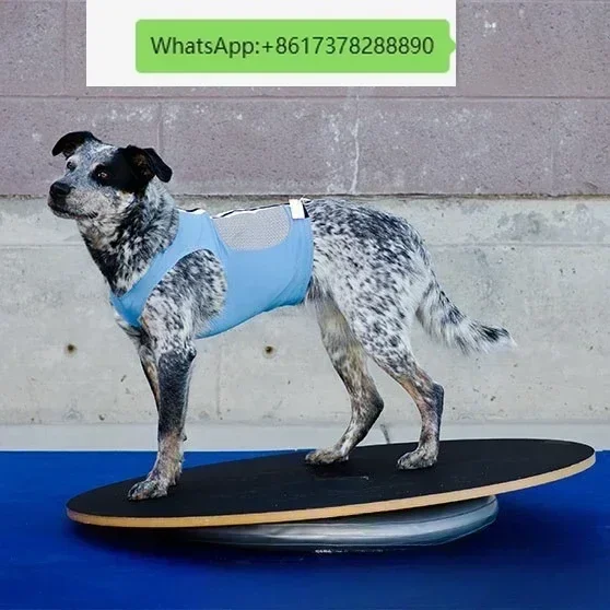 

Деревянная балансировочная доска-качалка для домашних животных, 360-градусная, круглая, деревянная качалка