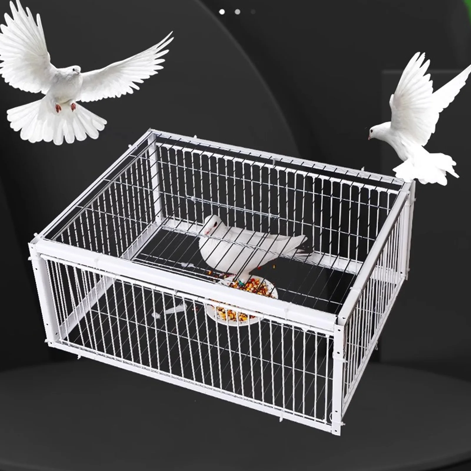 Thumbnail 3 - #22 Best Animal Traps to Buy In 2026