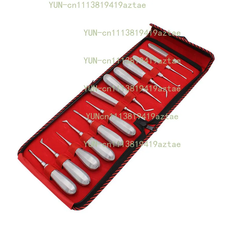13pcs Elevator Set Made in Teeth Extraction Tooth Extracting Forceps Stainless Steel Curved Root Lift Elevator