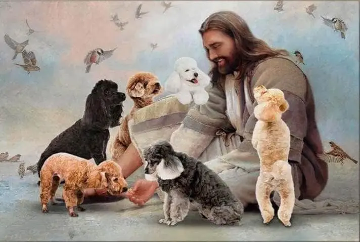 God and Poodle Dogs,God Surrounded by Dog Angel Tin Signs Home Kitchen Wall Decor Farmhouse Sign Courtyard Decoration
