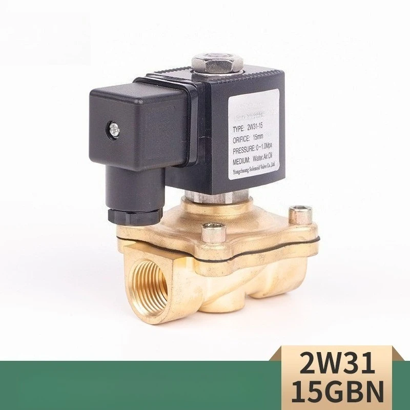 2W31 Straight Pull Diaphragm Solenoid Valve Water Control Valve For Water Treatment Animal Husbandry Fire Protection System
