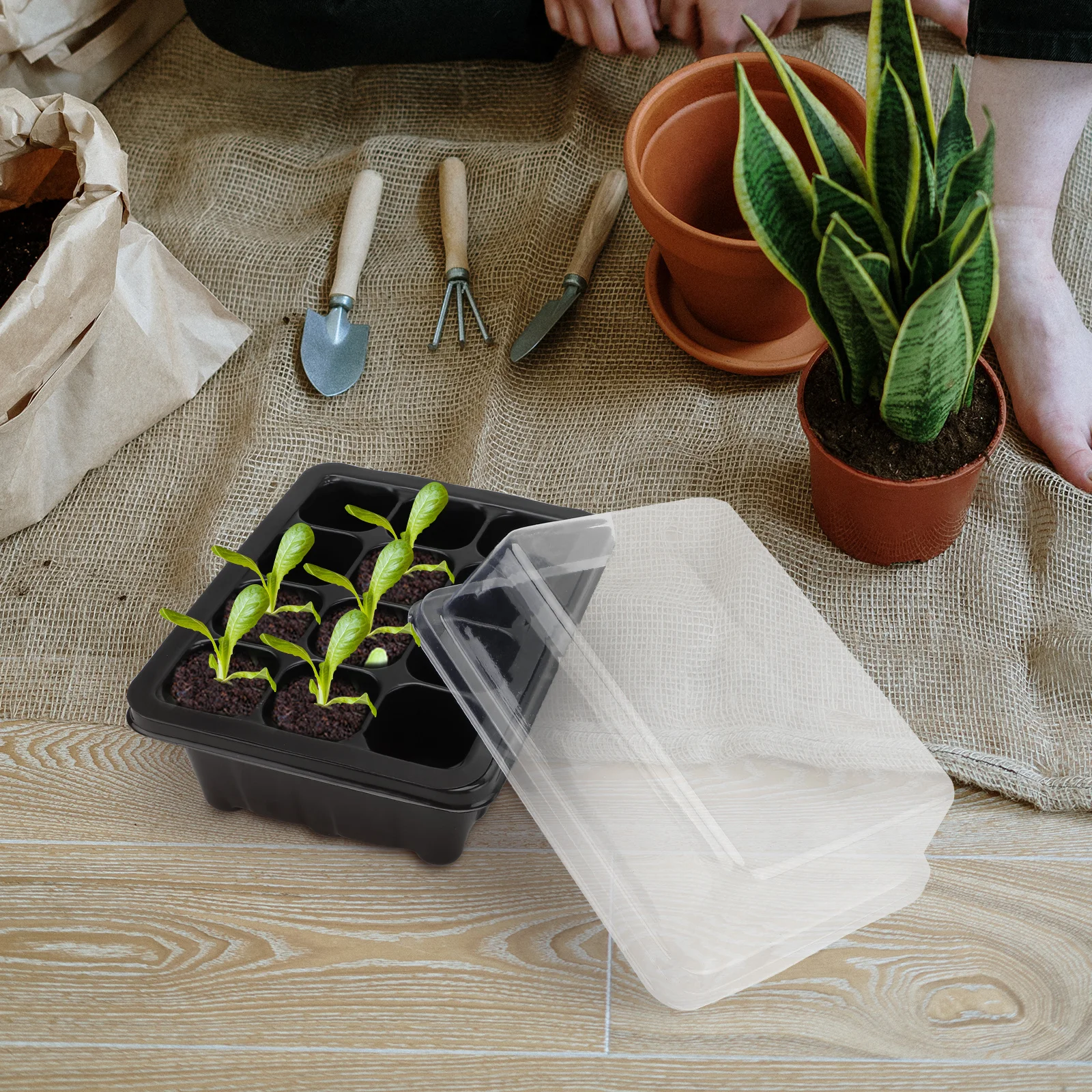 

5Pcs Nursery Box Set 18x14x6cm 12-Cell Plastic Sprouter Tray Transparent Lid Germination Growing Trays Gardening Bonsai