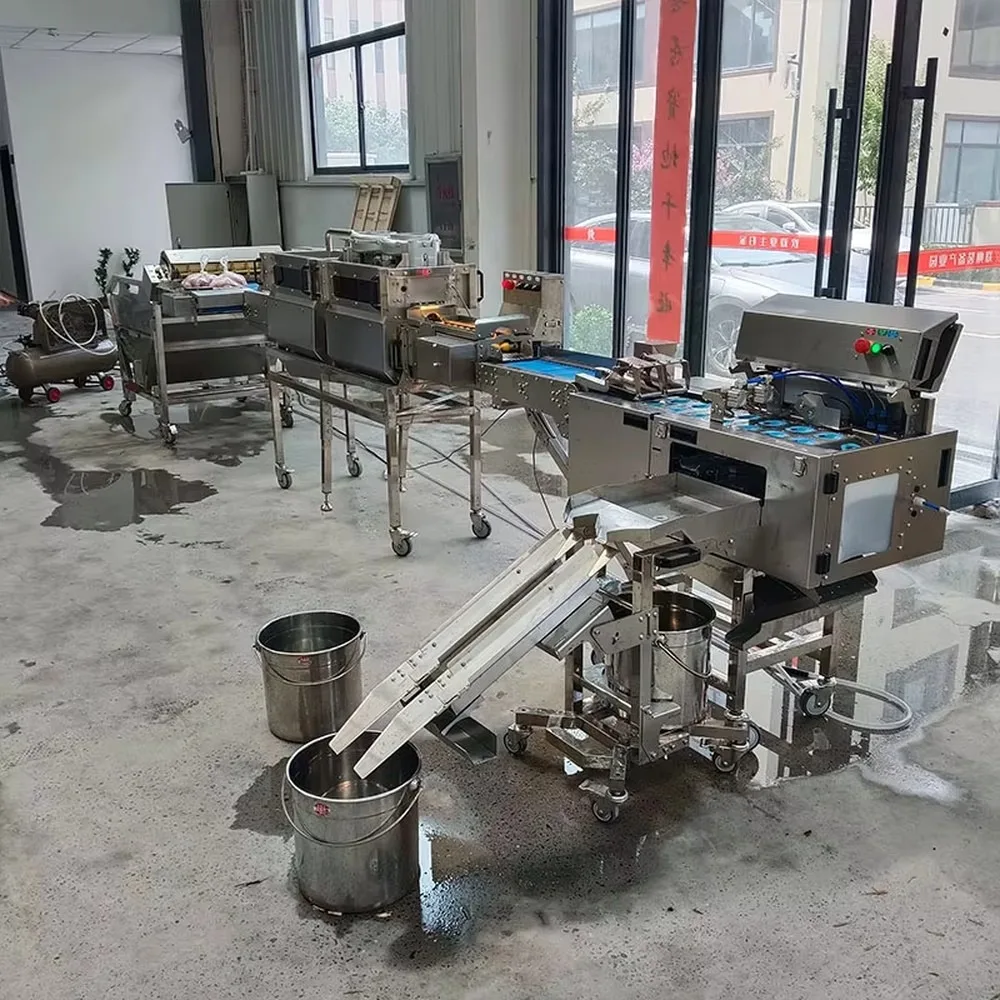 Automatic Egg Shelling Machine Bakery Factory Liquid Egg Processing Line Pasteurized Egg Whites Efficient Commercial