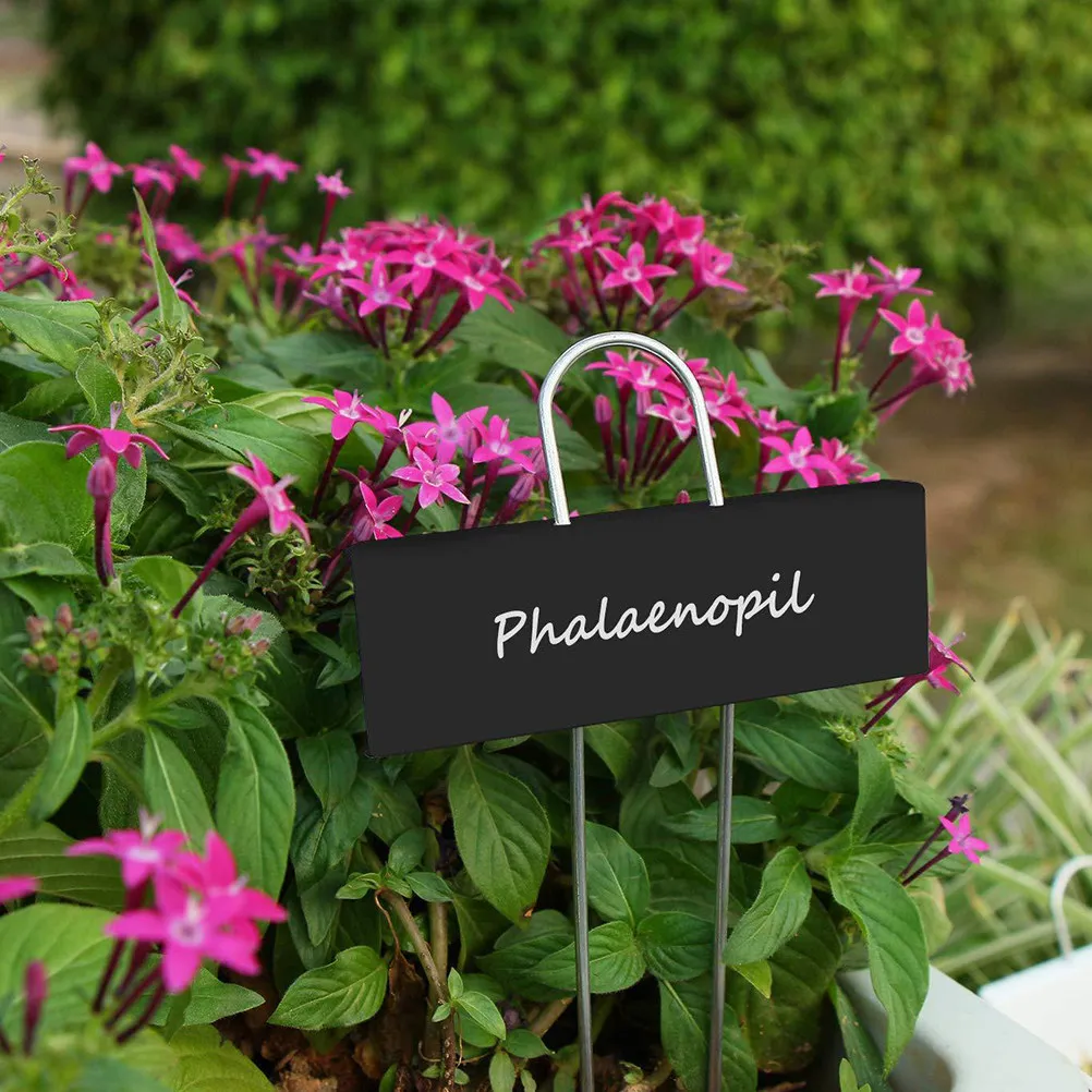 6Pcs Aluminum Stainless Steel Plant Labels Weatherproof Garden Plate Label for Flower Herb Vegetable Indoor Plants Greenhouse
