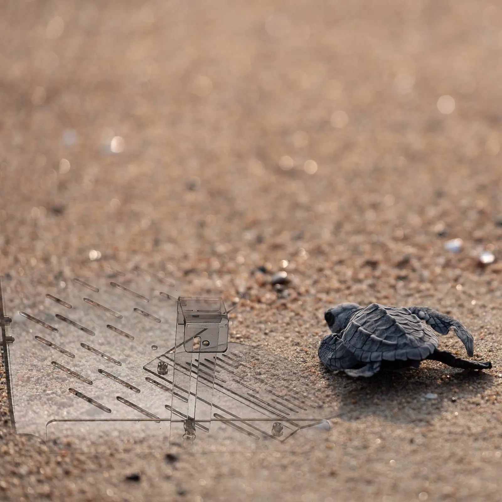 

Drying Platform Basking Area Terrace Tank Accessories Fish Reptile Acrylic Turtles Topper Resting