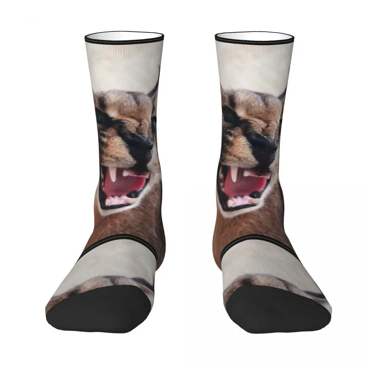 Big Floppa Animal Cats Socks Kawaii Stockings Autumn Non Slip Adults Men Socks High Quality Design Skateboard Socks