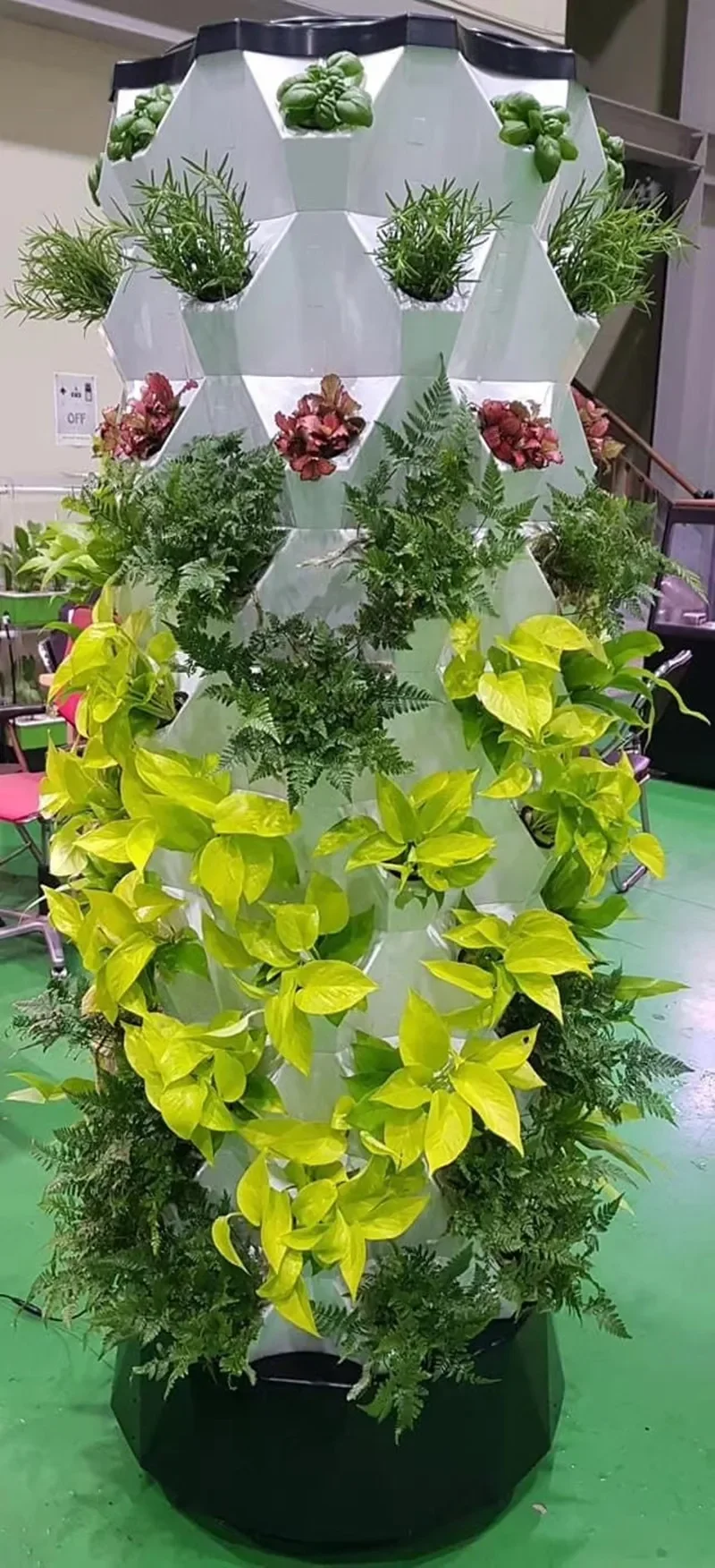 

Tour Hydroponique Ananas