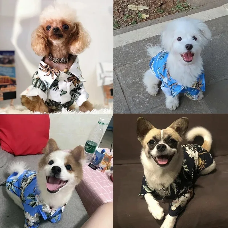 pet apparel