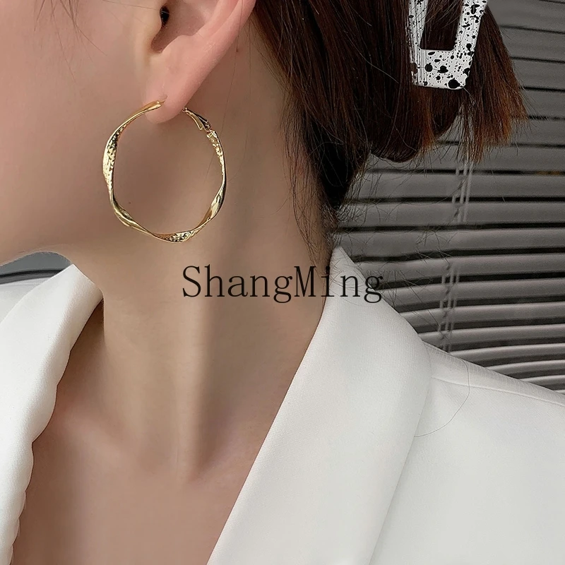 LXY large circle earrings women's new niche high-end light luxury temperament earrings