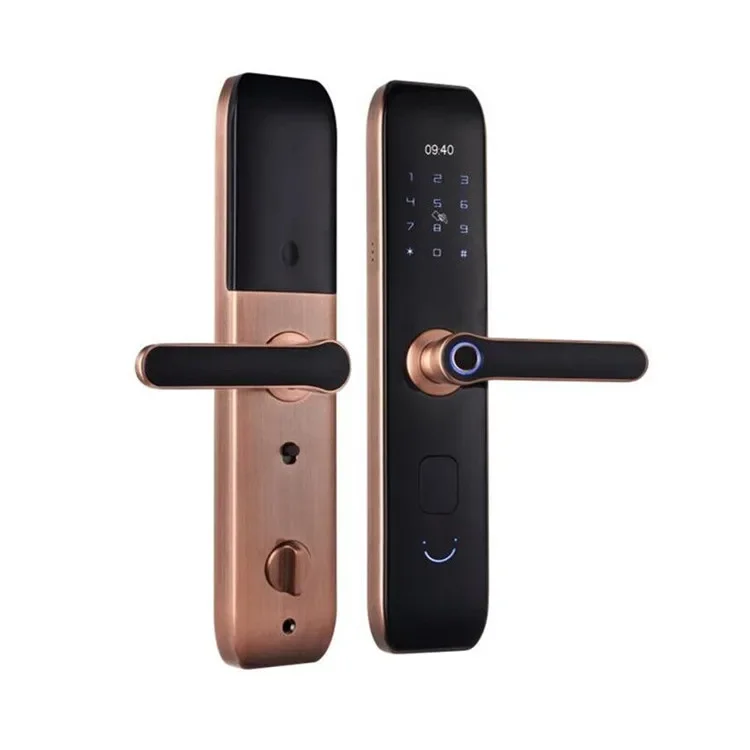 Smart fingerprint lock anti-theft door home hotel apartment password