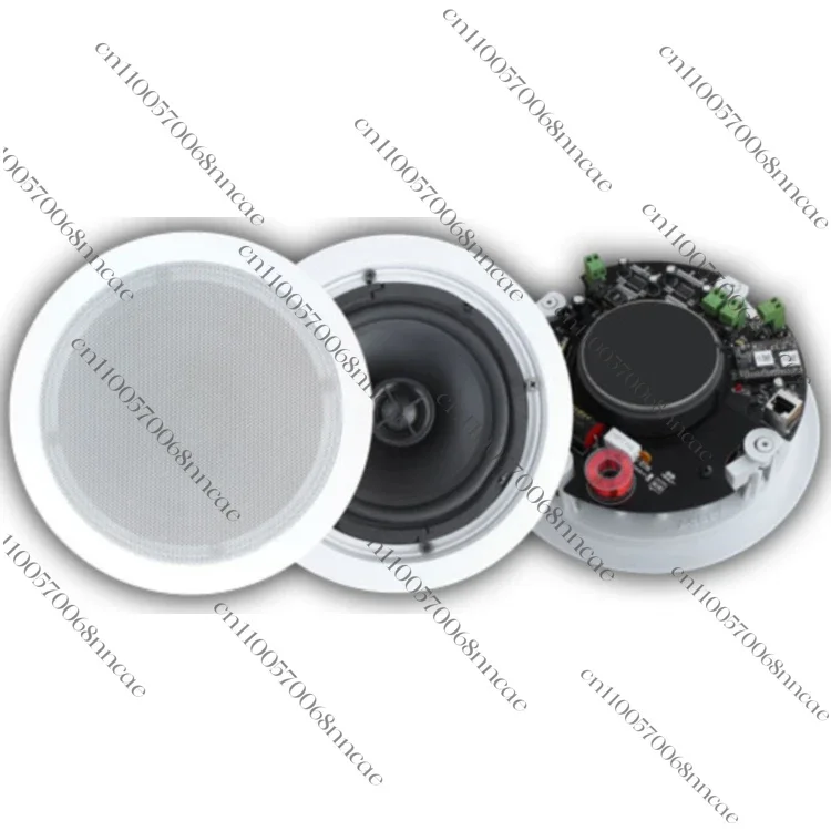 Active pa Speaker System Powered Speakers Active 5 Inch 2*20W Wifi Coaxial Ceiling Speaker