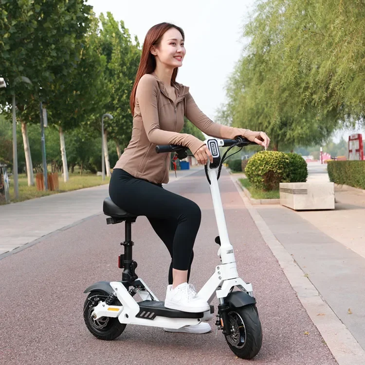 25km/h Two Seat Scooter Electric Scooters with Removable Battery