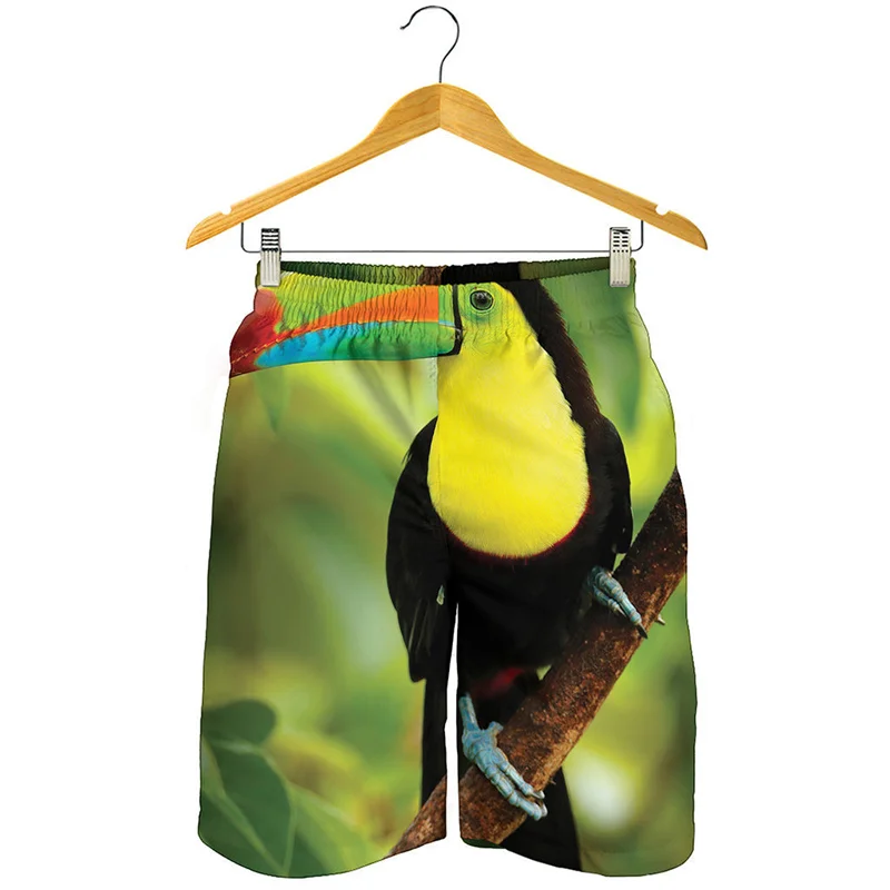 Tropical Parrot Graphic Beach Shorts Men 3D Printed Toucan Hawaiian Surf Board Shorts Summer Oversized Quick Dry Swimming Trunks