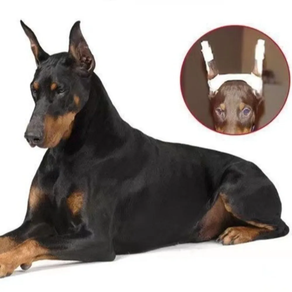 10Pcs Soft Foam Rods Dog Ear Stand Up Tool Fast Ear Erecting Non-Invasive Ear Erecting Stick Breathable Comfortable