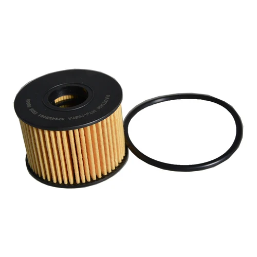 Imagen 2 del producto 10 Uds filtros de aceite HY16744AA para LANDWIND JMC X7 1,5 T 17-19 XIAOYAO RONGYAO YUSHENG S330 FORD EQUATOR SPORT 1,5 T accesorios de coche