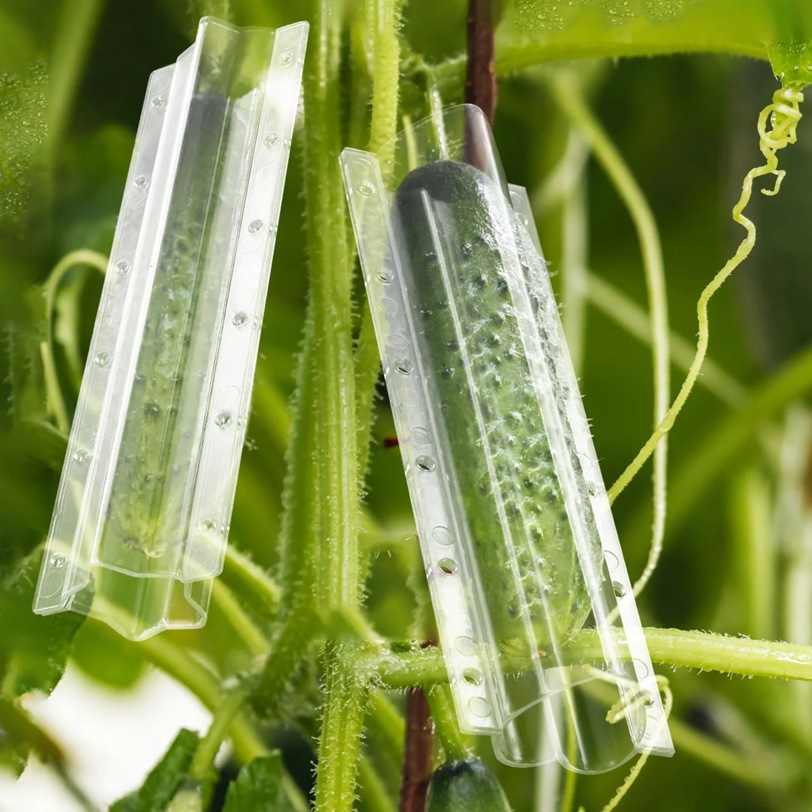 

4Pcs Cucumber Styling Growth Mold Strong Plastic Fruit Shape Maker Educational Garden Tool for Creative Cooking Presentations