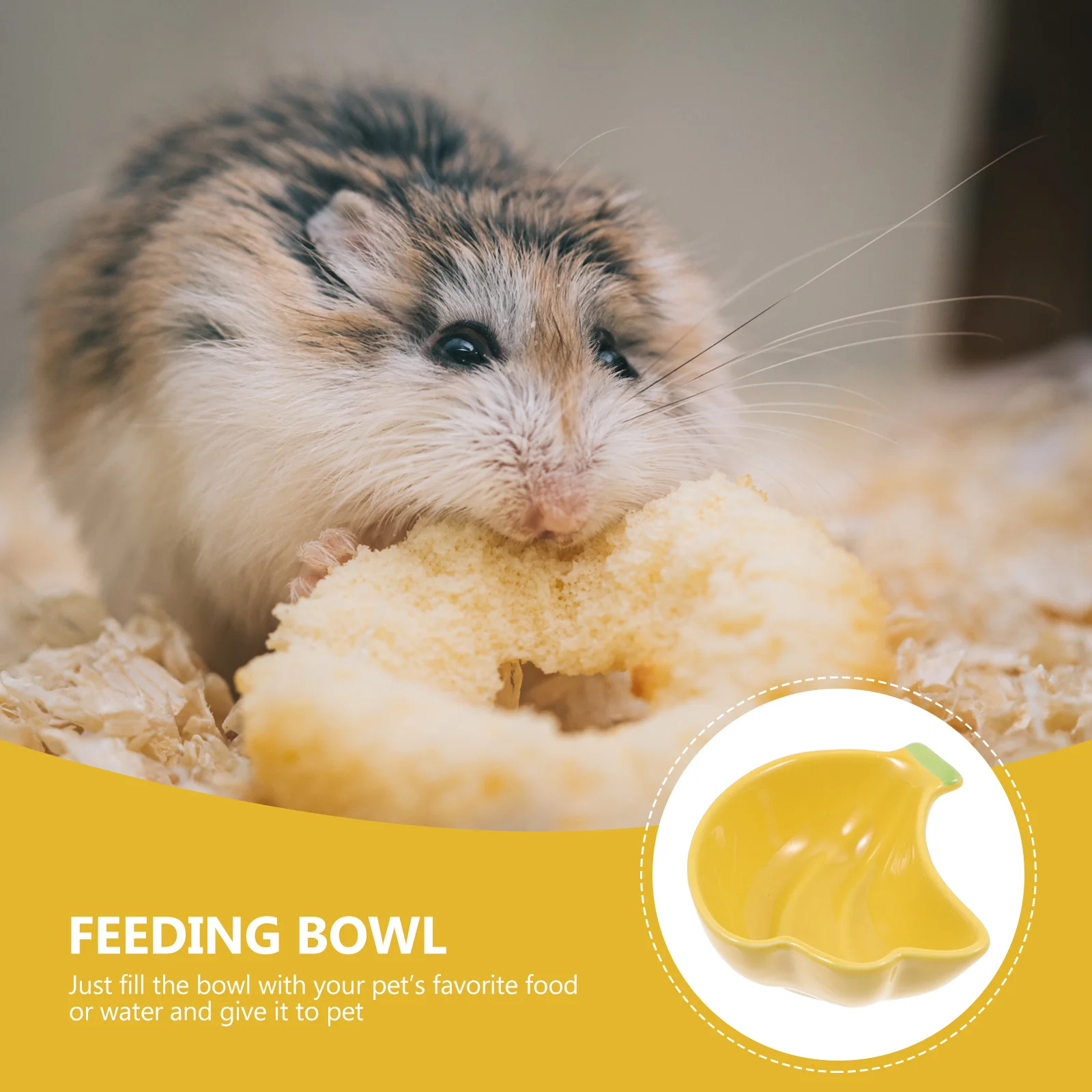 : Fütterung u. Wasserversorgungen