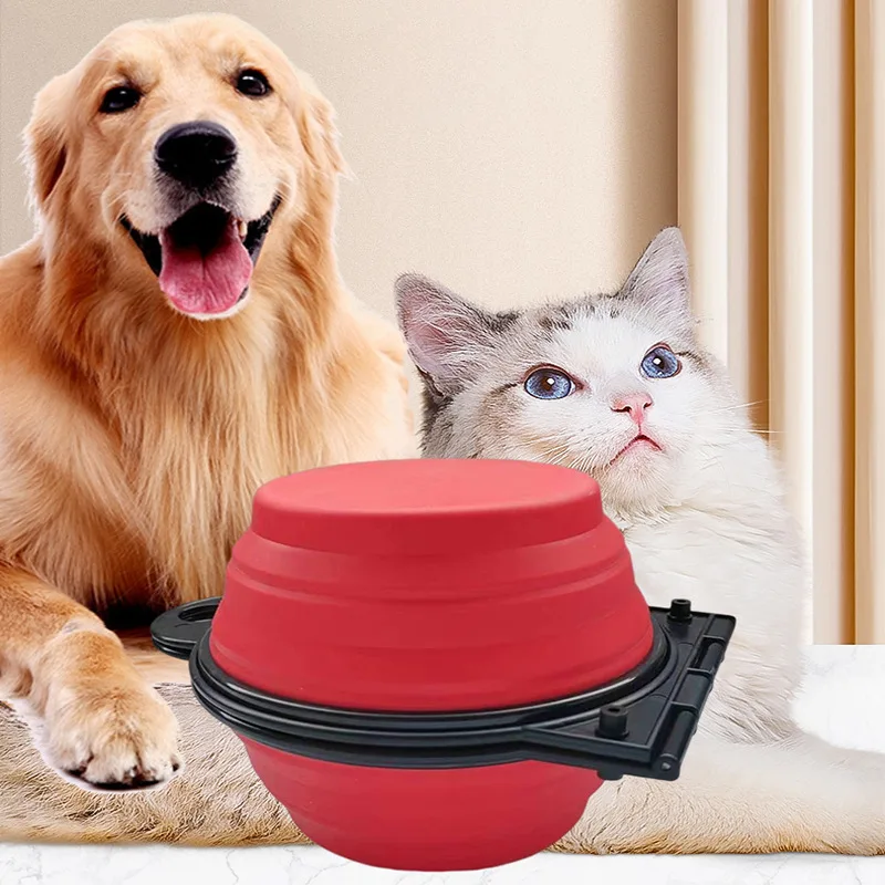 2 in 1 Collapsible Double Feeding Bowl Mini Folding Water Bowl for Dogs and Cats Open Portable Travel Set  Dog Accessories